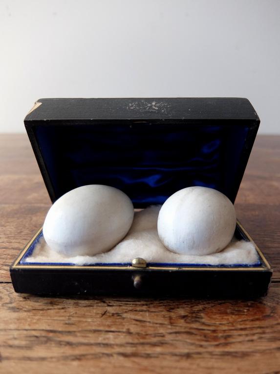Egg Models with Case (A0817)
