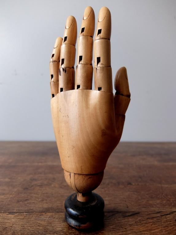 Mannequin's Hand (E1216-01)