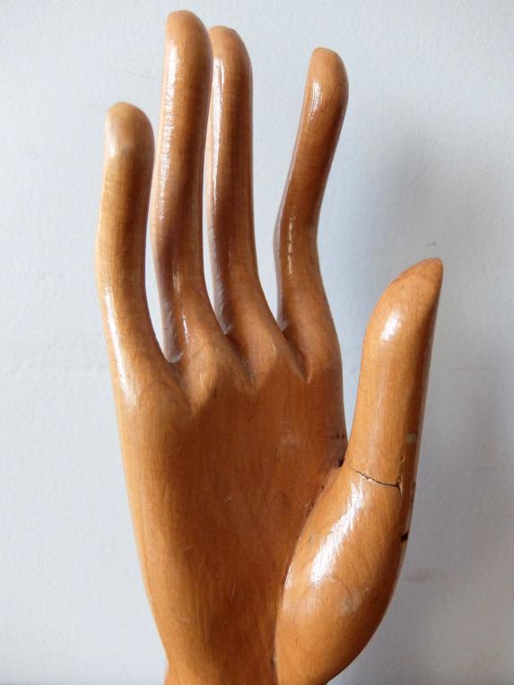 Glove Hand Display (B1221)