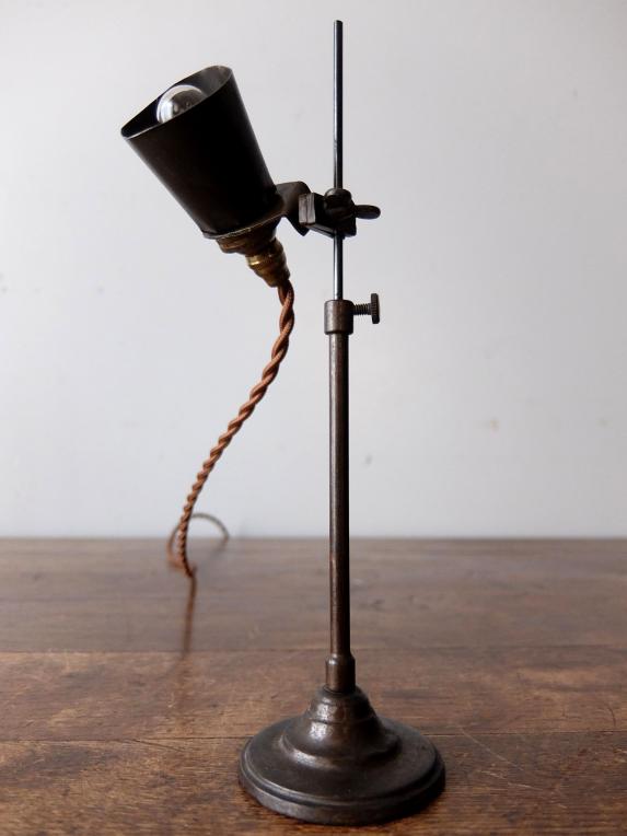 Adjustable Desk Lamp (A0120)