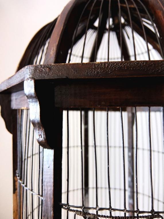 Bird Cage (A0414)