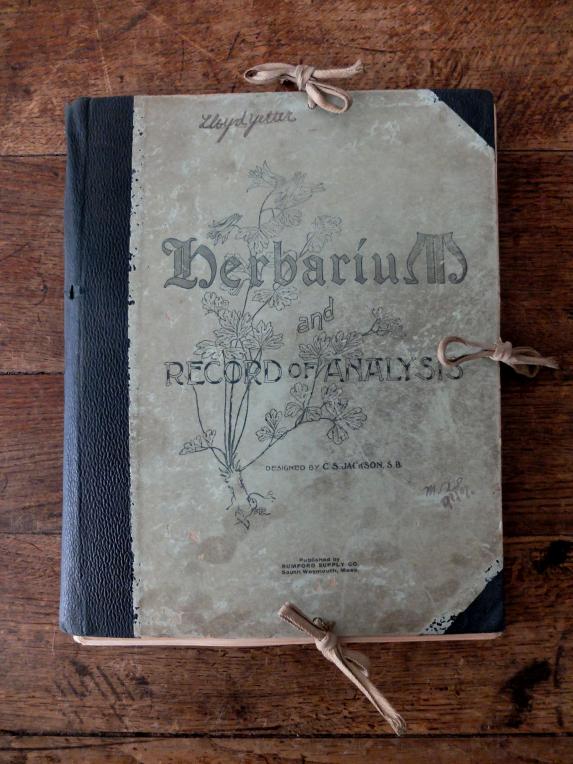 Herbarium (Cover + 39 pcs) (A0215)