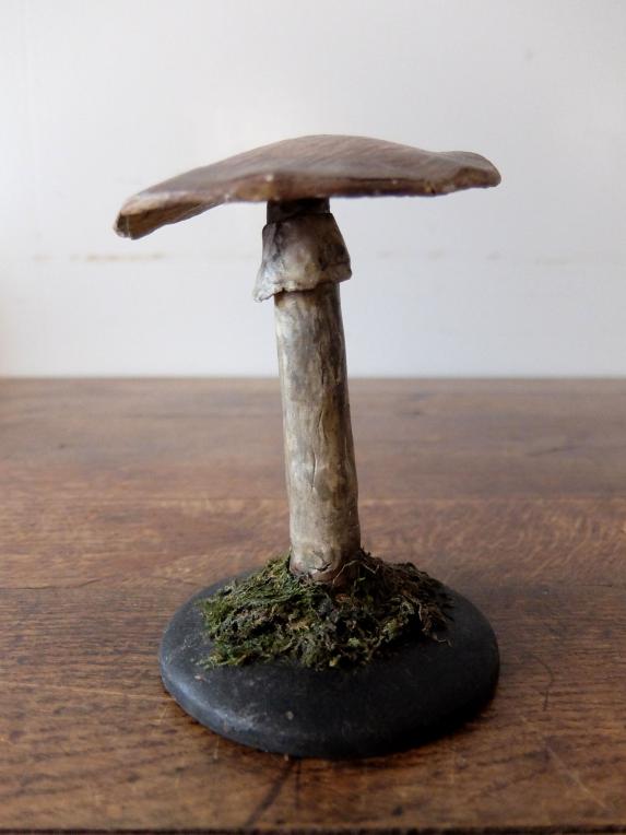 Mushroom Model (A0320-03)