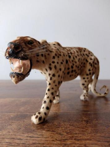 Animal Figure Model 【Leopard】 (A0419)