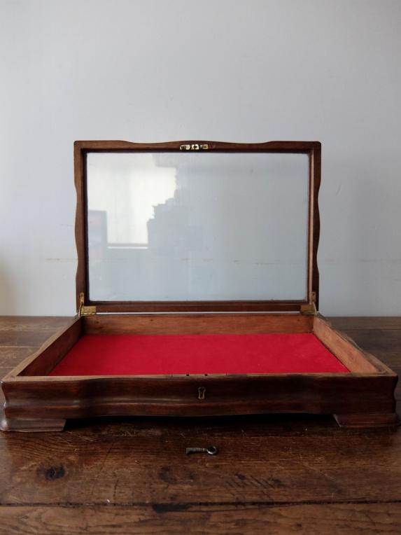 Display Case (A0522)
