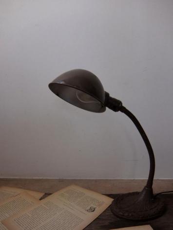 Goose Neck Desk Lamp (C0114)