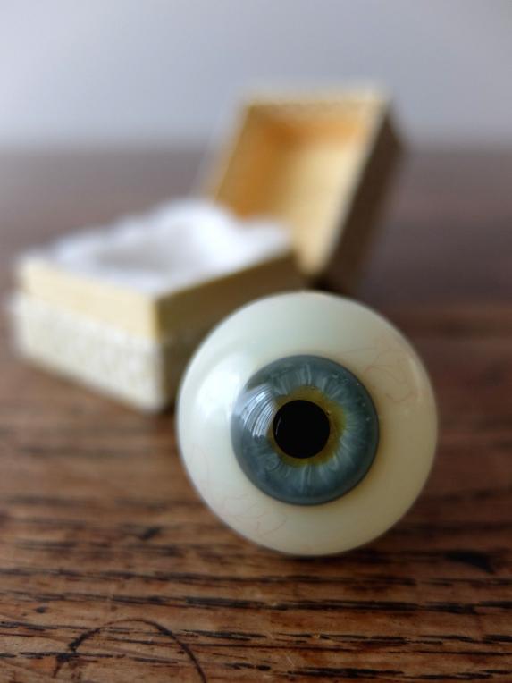 Prosthetic Glass Eye with Box (F0518-03)