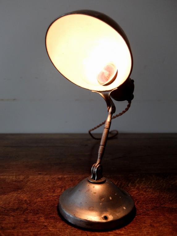 Adjustable Hand Lamp (A0620)