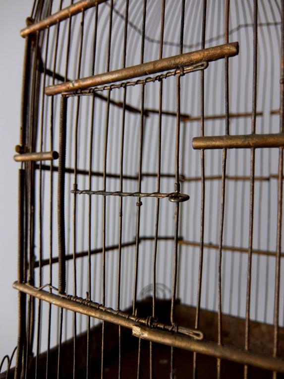 Bird Cage (A0515)