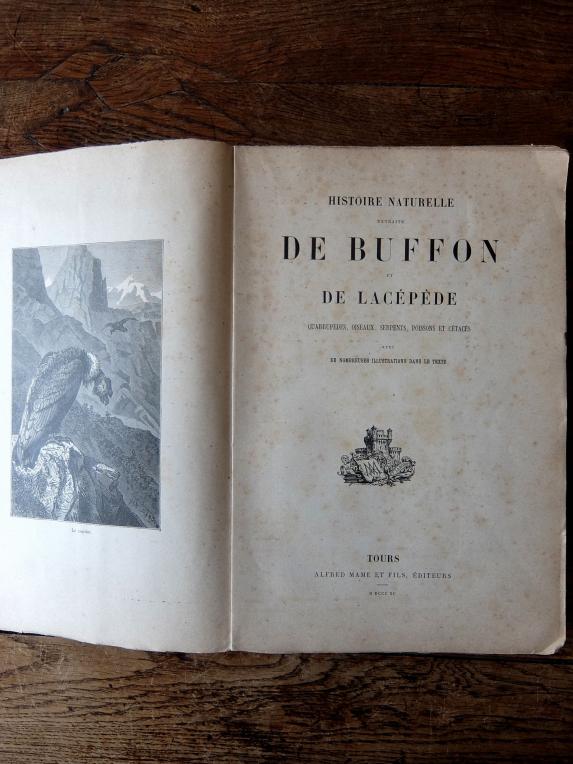 Antique Book (Buffon) (E0516)