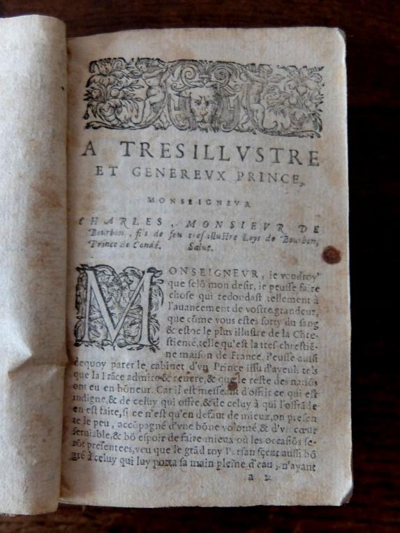 Antique Book (B0723-01)