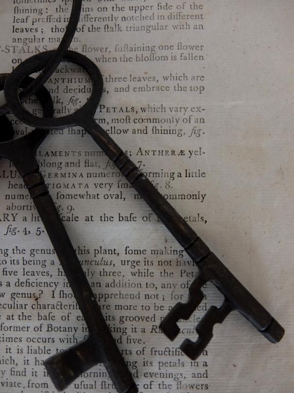 Antique Key (C0214)