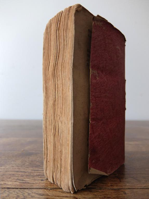 Antique Book (B0617)