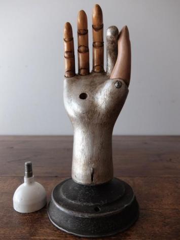 Prosthetic Hand (A1116)