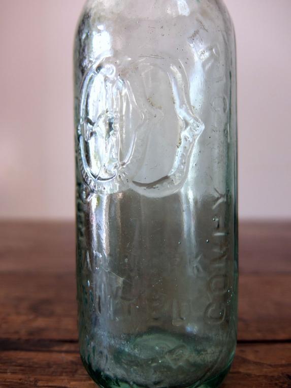 Glass Bottle (B0915-01)