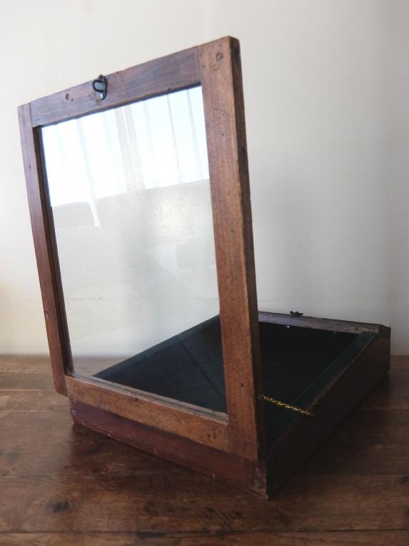 Display Case (A1023)