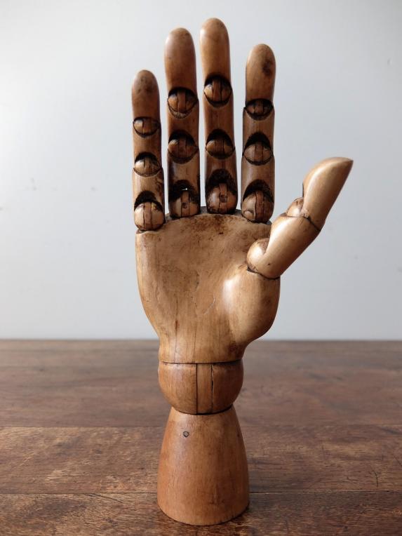 Mannequin's Hand (A1117-01)