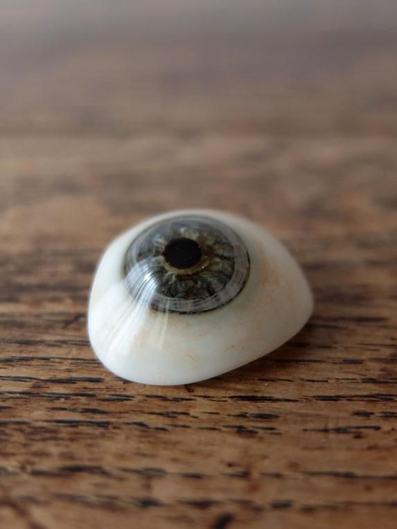 Prosthetic Glass Eyes with Box (B0917-07)