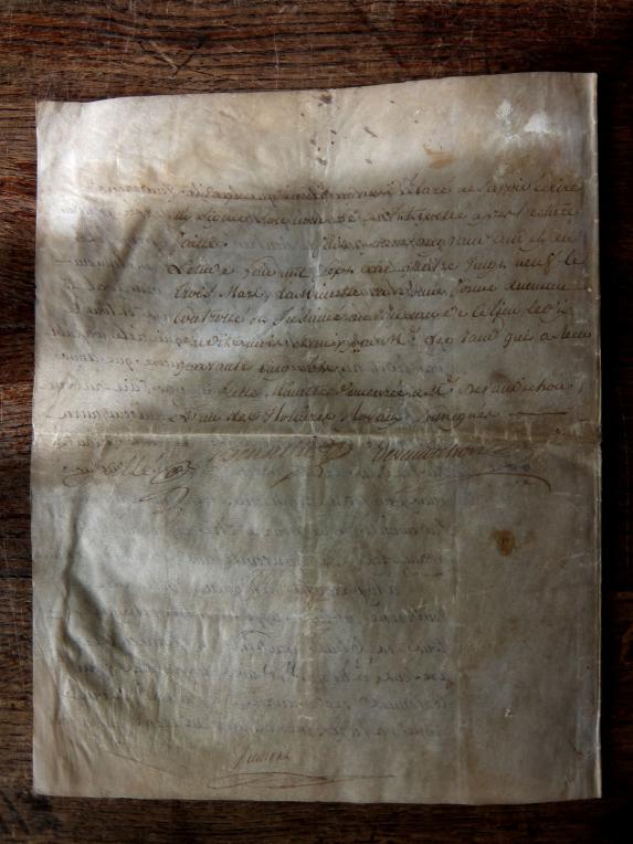 Manuscript (B1115)
