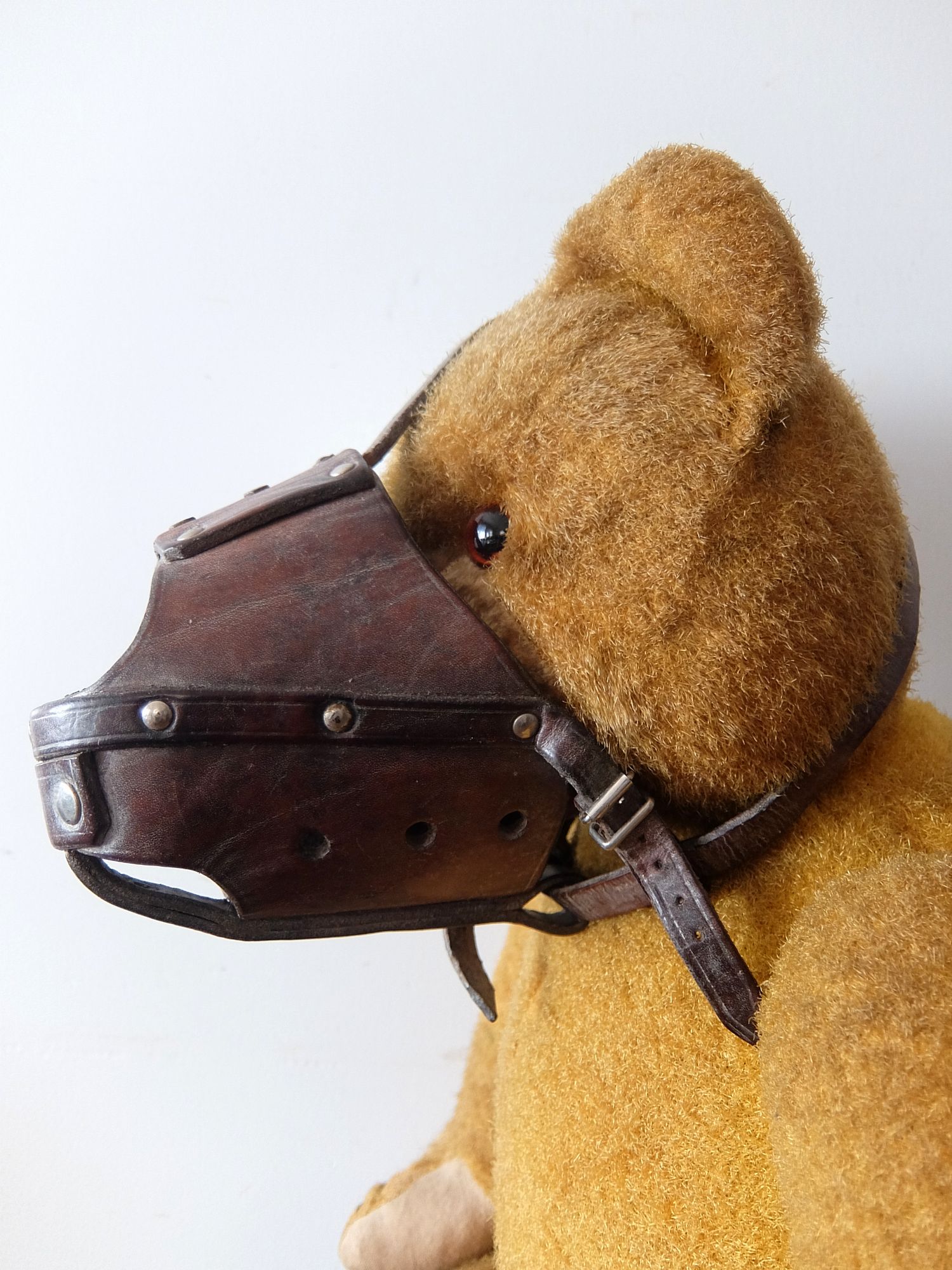 Muzzle Mask (A0125)