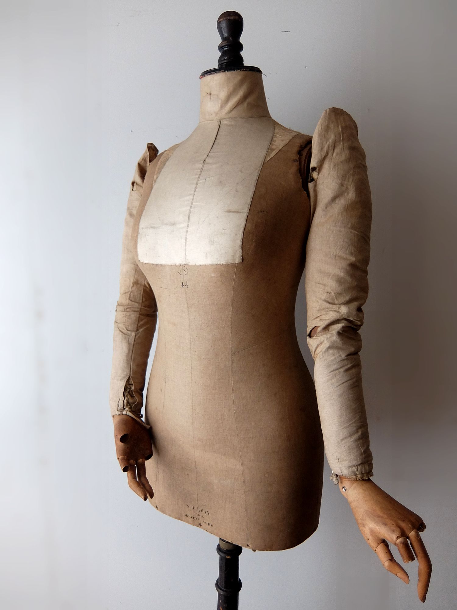 French Torso (A1118)