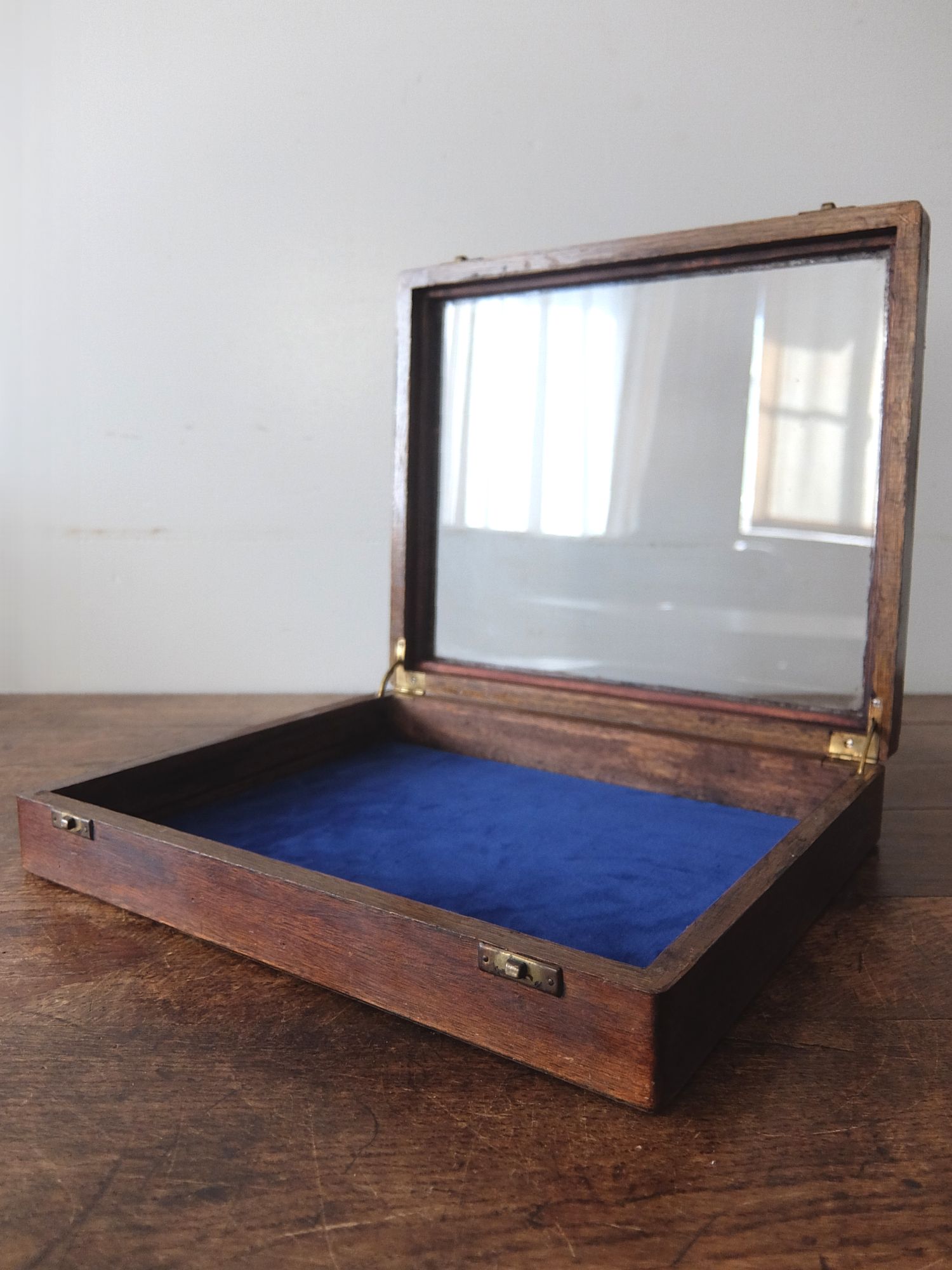 Display Case (B1123)