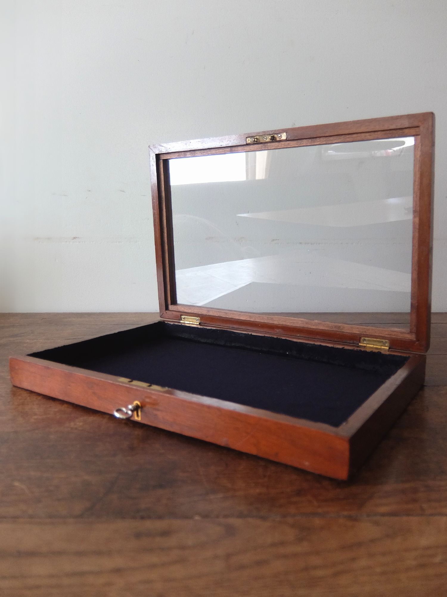 Display Case (D0625)