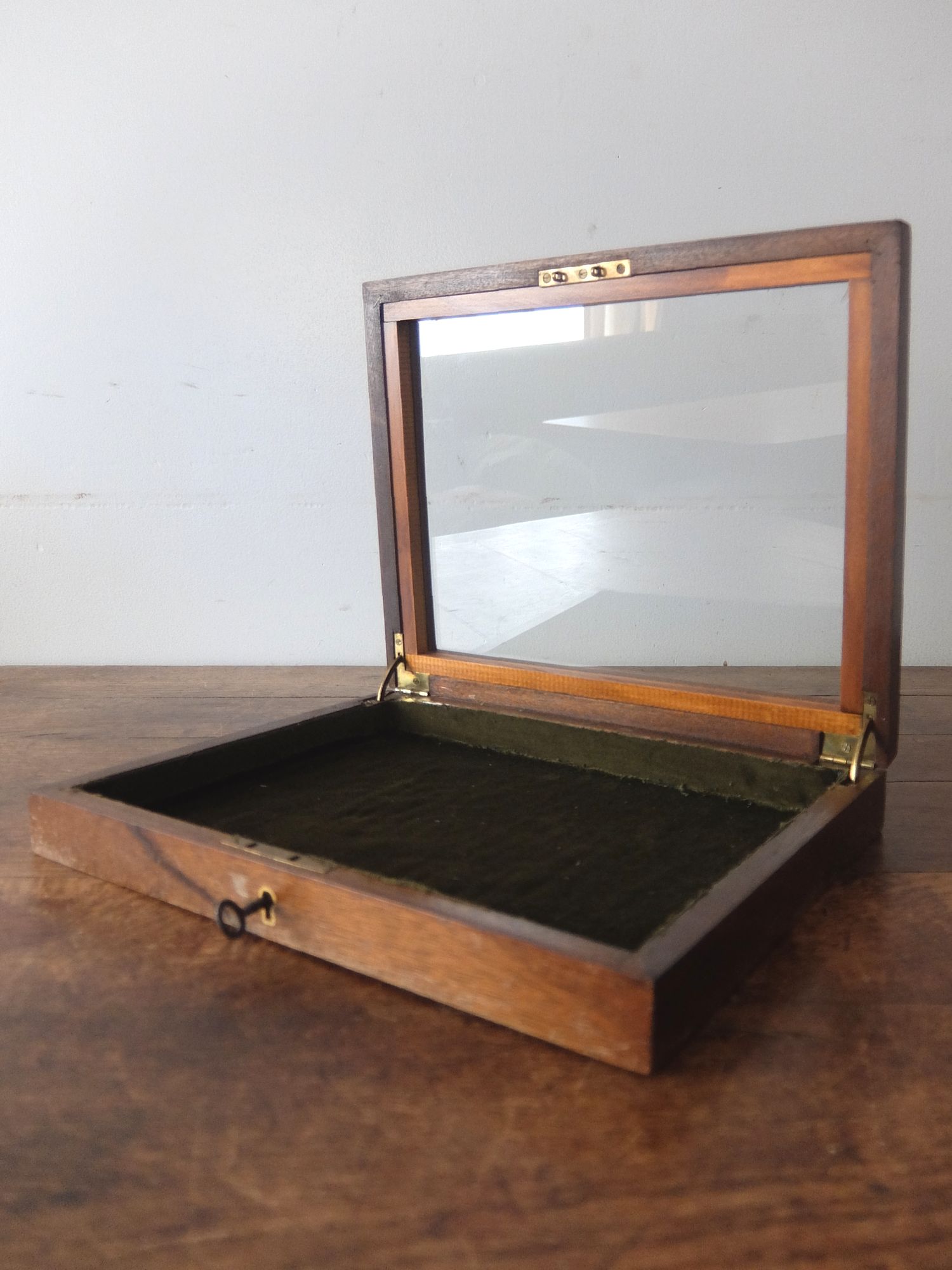 Display Case (C0825-04)