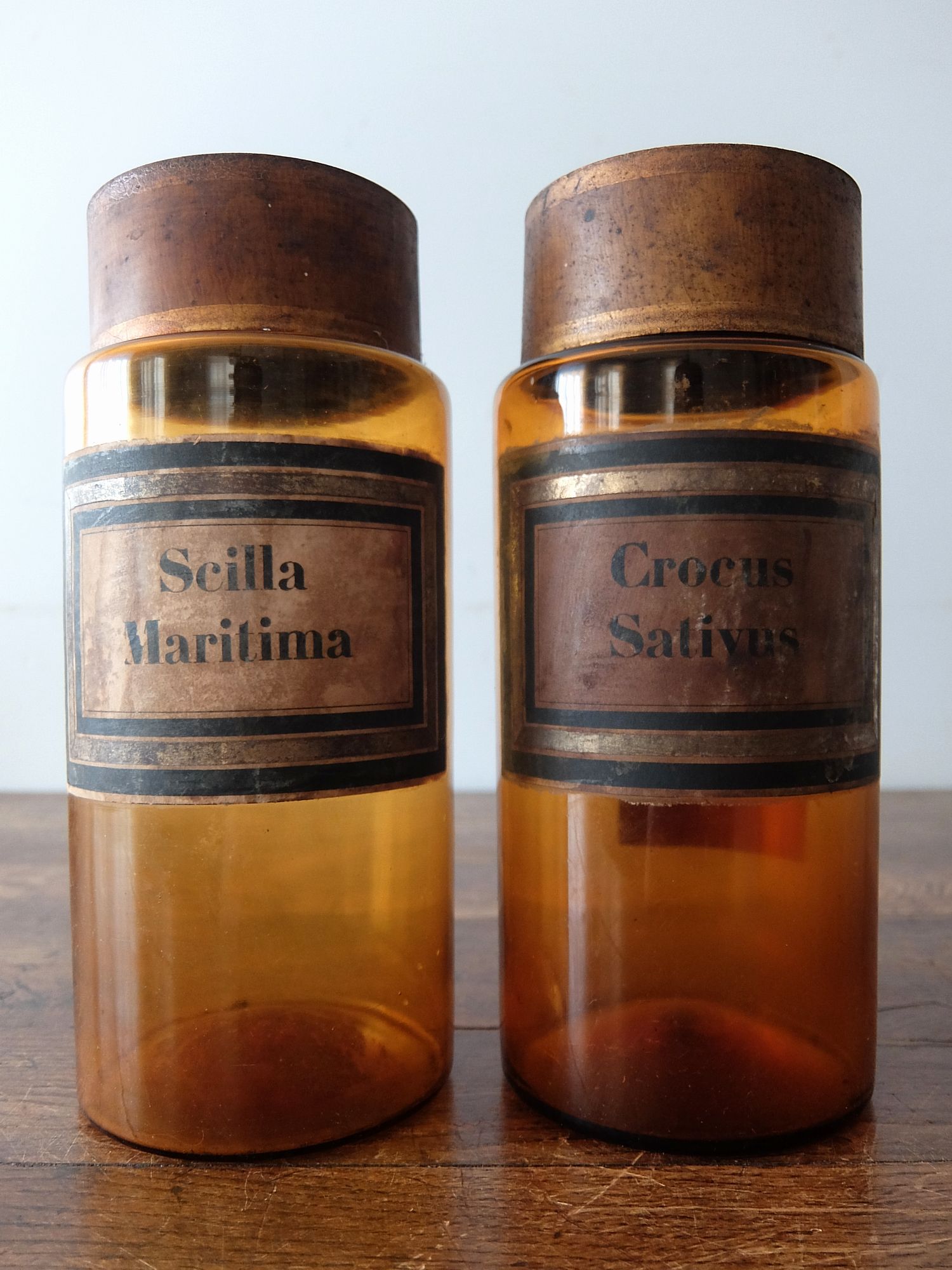 Medicine Bottle (B1025-01)