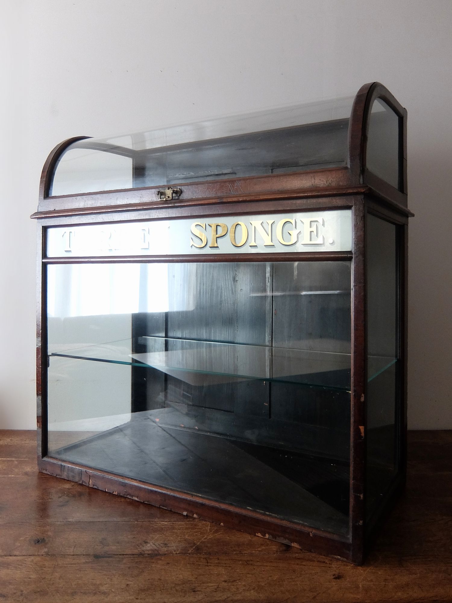 Turkey Sponge Showcase