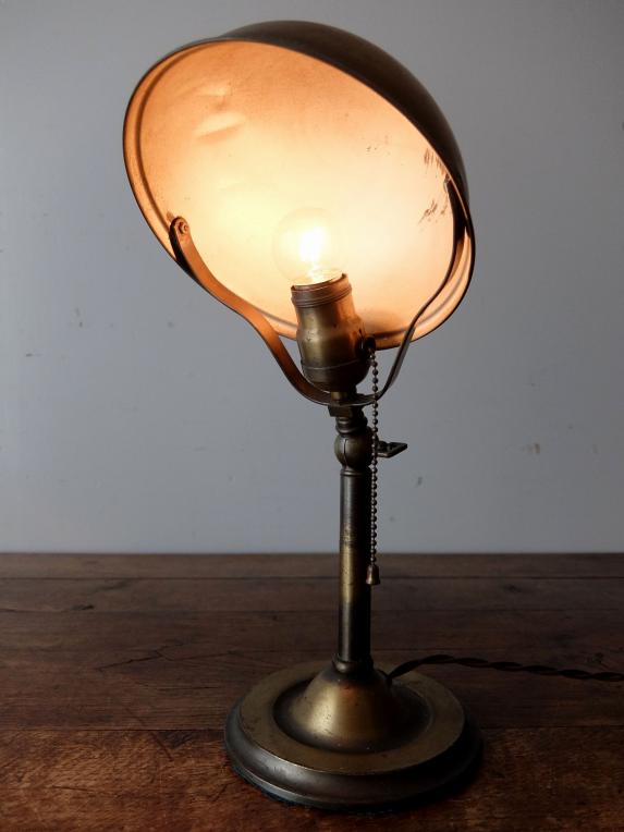 Adjustable Desk Lamp (A1118)