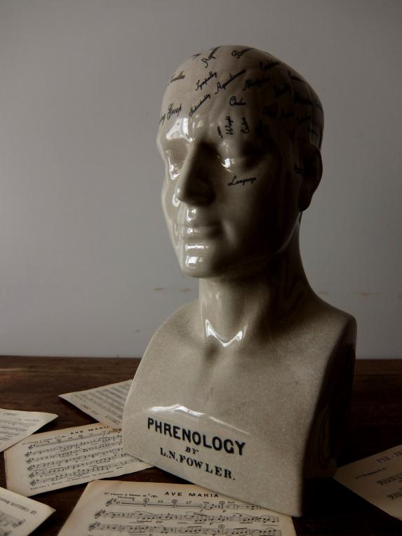 Phrenology Head (A0214)