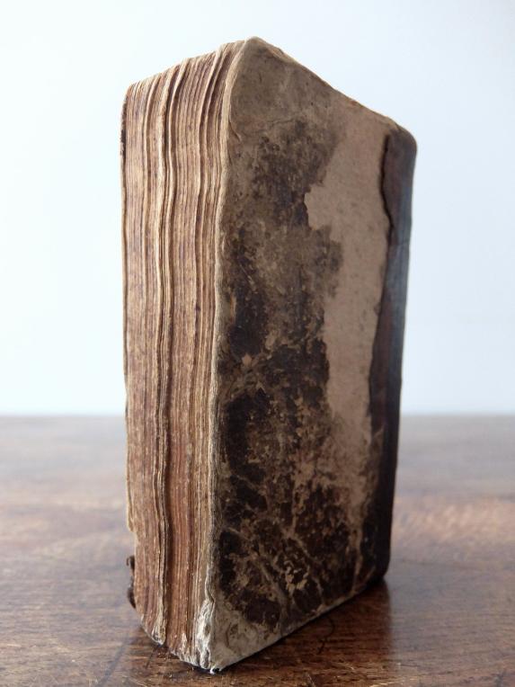 Antique Book (A0123-02)