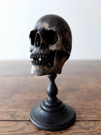 Carved Skull (A0120)
