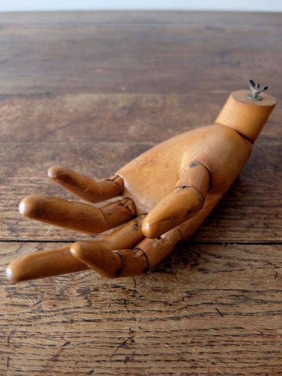 Mannequin's Hand (A1118)