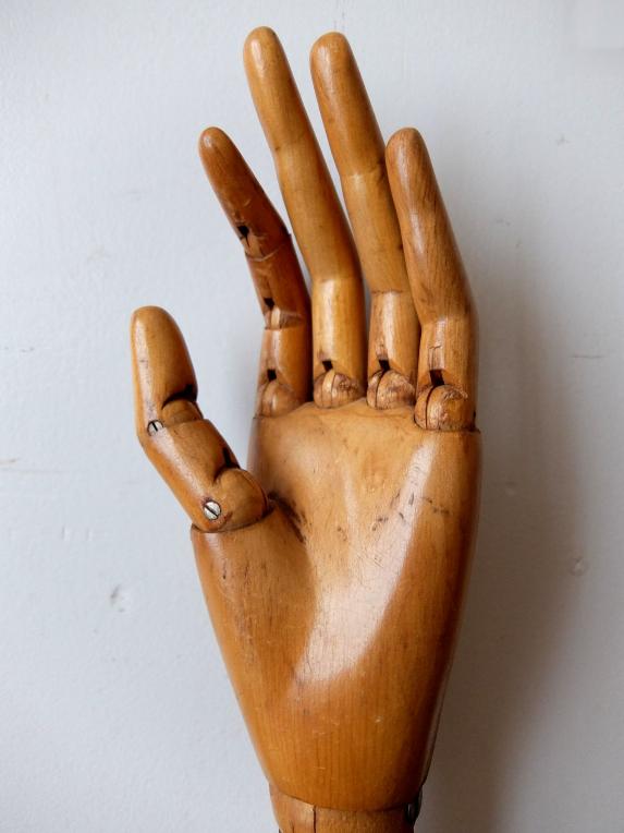 Mannequin's Hand (A1118)