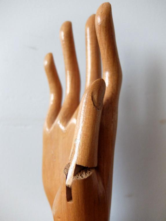 Glove Hand Display (B1221)