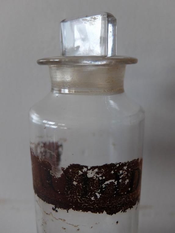 Medicine Bottle (C1222-02)
