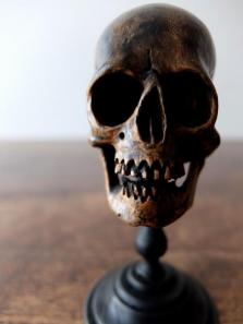 Carved Skull (A1219)