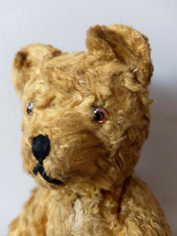 Plush Toy 【Bear】 (A0223-01)