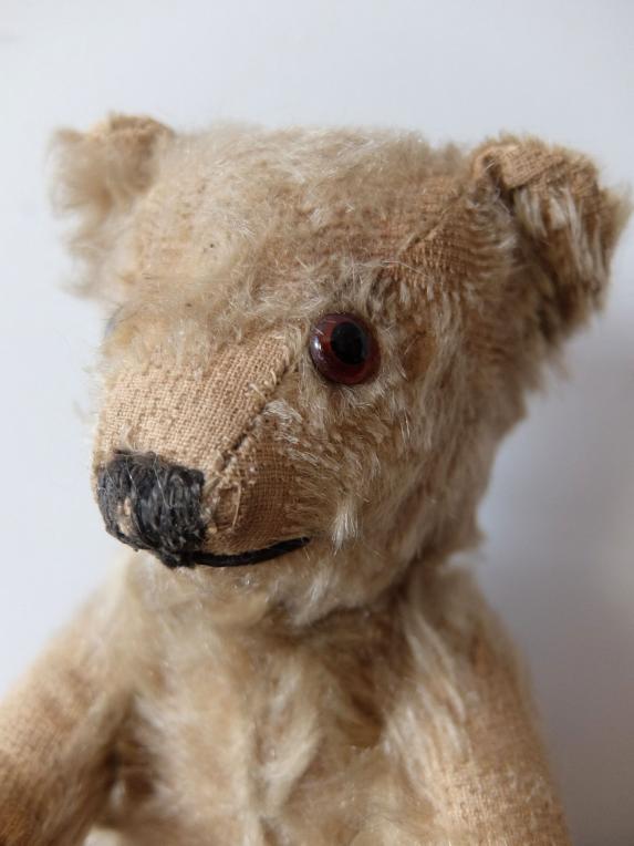 Plush Toy 【Bear】 (A0223-02)