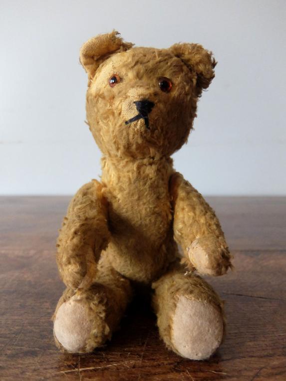Plush Toy 【Bear】 (C0223-01)