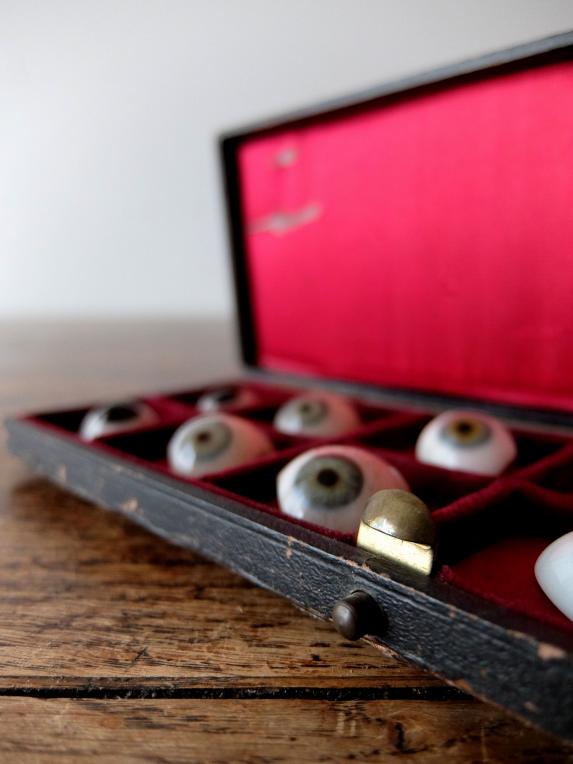 Prosthetic Glass Eyes with Case (12 pcs) (A0917)