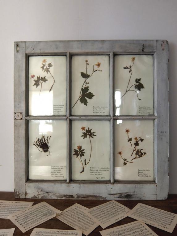 Herbarium with Frame (A1014)