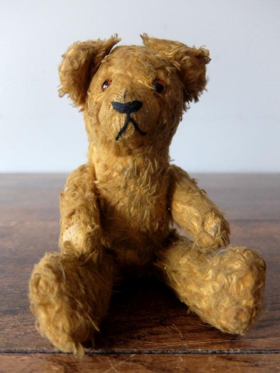 Plush Toy 【Bear】 (C0223-02)