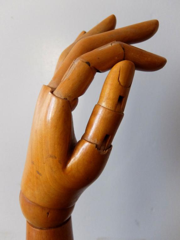Mannequin's Hand (A0221)