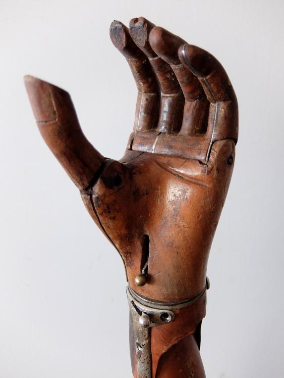 Prosthetic Hand (A1220)