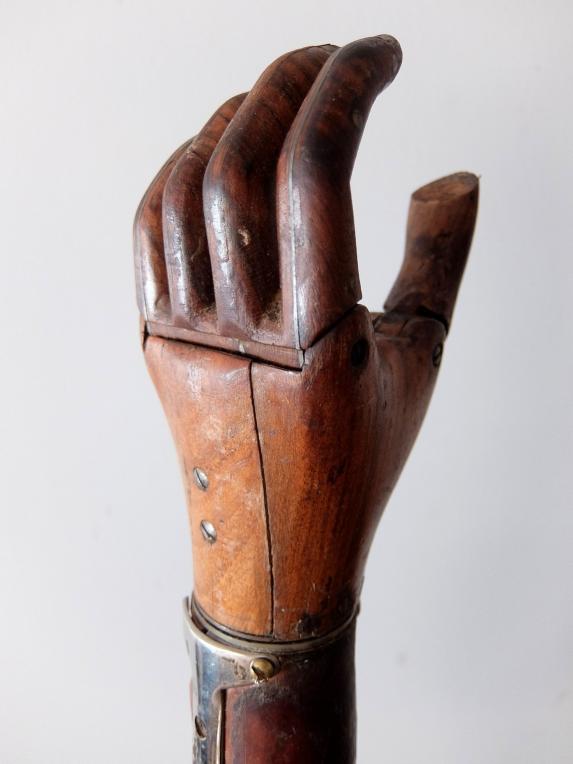 Prosthetic Hand (A1220)