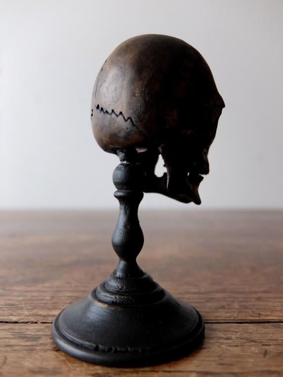 Carved Skull (B0120)