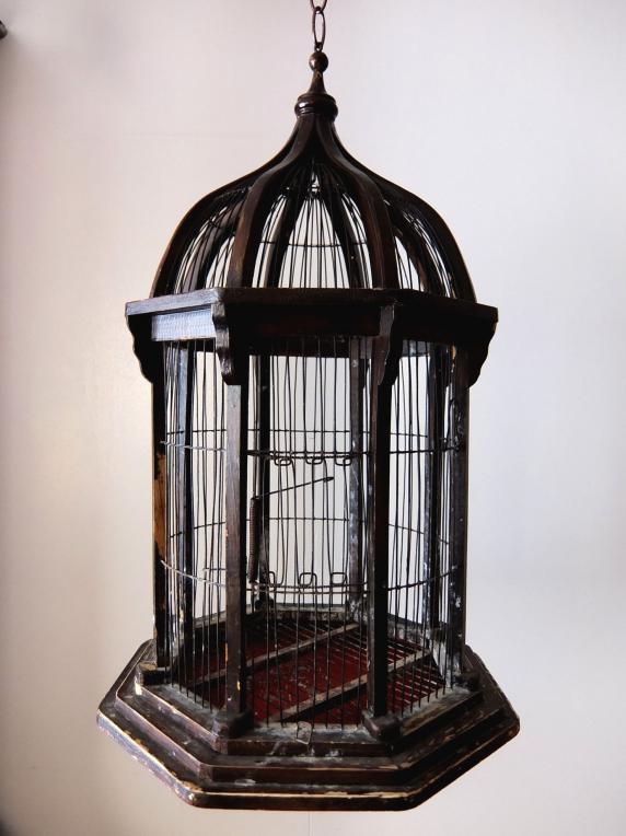 Bird Cage (A0414)